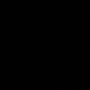 Meet your Posher, Leonard